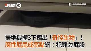 掃地機撞3下擠出「奇怪生物」！魔性屁屁成亮點網：犯罪ㄉ屁股