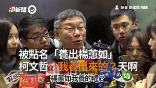 被點名「養出楊蕙如」　柯文哲：我養出來的？天啊