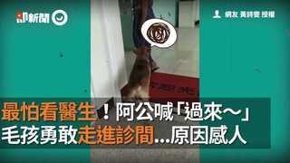 最怕看醫生！阿公喊「過來～」乖毛孩勇敢走進診間...原因感人
