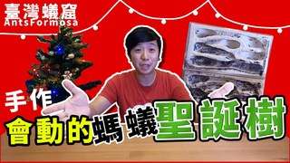 臺灣蟻窟-密集慎入！超狂「螞蟻聖誕樹」陪你過聖誕節