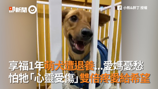 享福1年萌犬遭退養...愛媽憂愁 怕牠「心靈受傷」雙倍疼愛給希望