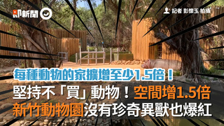 堅持不「買」動物！空間增1.5倍 新竹動物園沒有珍奇異獸也爆紅