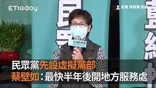 民眾黨先設虛擬黨部　蔡壁如：強化陸軍最快半年後開地方服務處