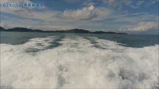 全世界剩不到50隻！馬祖海上生態之旅尋找神話之鳥