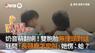 奶音萌翻網！雙胞胎無俚頭對話　狂問「長頸鹿怎麼叫」她楞：蛤？