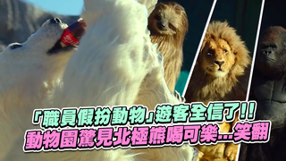 「職員假扮動物」遊客全信了！！　動物園驚見北極熊喝可樂...笑翻