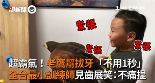 超霸氣！老鷹幫拔牙「不用1秒」 全台最小訓練師見齒展笑：不痛捏
