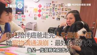 暖汪陪伴癌爸走完人生最後一程 她寵物溝通淚崩：最好的陪伴犬