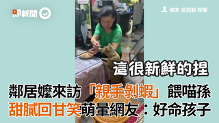 鄰居嬤來訪「親手剝蝦」餵喵孫　甜膩回甘笑萌暈網友：好命孩子