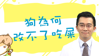 【ET毛教室】狗為何改不了吃屎？| EP07