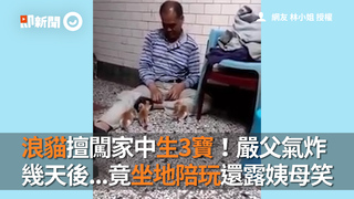 浪貓擅闖家中生3寶！嚴父氣炸　幾天後...竟坐地陪玩還露姨母笑
