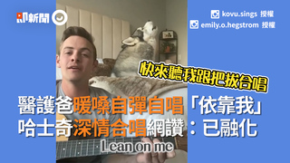 醫護爸暖嗓自彈自唱「依靠我」 哈士奇深情合唱網讚：已融化