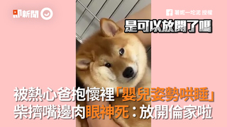 被熱心爸抱懷裡「嬰兒姿勢哄睡」　柴擠嘴邊肉眼神死：放開倫家啦