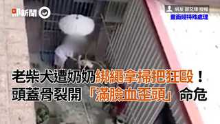 老柴犬遭奶奶綁繩拿掃把狂毆！頭蓋骨裂開「滿臉血歪頭」命危