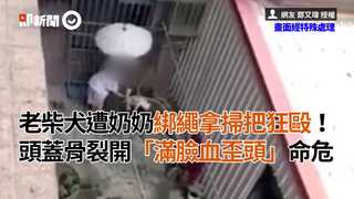 老柴犬遭奶奶綁繩拿掃把狂毆！頭蓋骨裂開「滿臉血歪頭」命危
