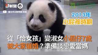 從「恰女孩」變淑女小圓仔7歲　被大家催婚？準備談戀愛當媽