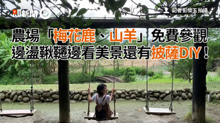 農場「梅花鹿、山羊」免費參觀 邊盪鞦韆邊看美景還有披薩DIY！