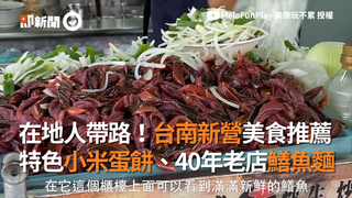 在地人帶路！台南新營美食推薦　特色小米蛋餅、40年老店鱔魚麵