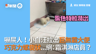 嚇屎人！小白汪拉出巨無霸大便 巧克力螺旋狀...網：霜淇淋店員？