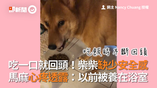 吃一口就回頭！柴柴缺少安全感 馬麻心疼透露：以前被養在浴室