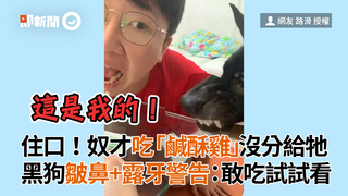 住口！奴才吃「鹹酥雞」沒分給牠　黑狗皺鼻+露牙警告：敢吃試試看