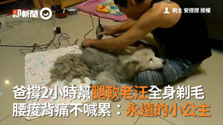 爸撐2小時幫腿軟老汪全身剃毛 腰痠背痛不喊累：永遠的小公主