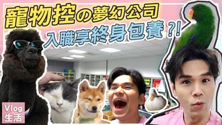 【Kevin想得美】寵物奴的夢幻公司～入職即享終身包養？！