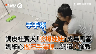 調皮杜賓犬「咬爆娃娃」成暴風雪 媽細心握汪手清理...網讚：懂教