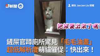 鏟屎官蹲廁所驚見「毛毛油畫」超低解析度萌貓催促：快出來！