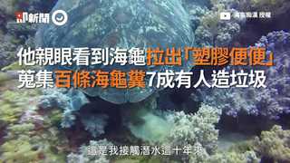 他親眼看到海龜拉出「塑膠便便」　蒐集百條海龜糞7成有人造垃圾