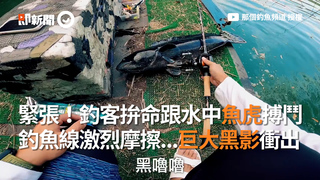 緊張！釣客拚命跟水中魚虎搏鬥 釣魚線激烈摩擦...巨大黑影衝出