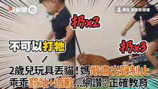 2歲兒玩具丟貓！媽嚴肅出聲制止　乖乖罰站+道歉...網讚：正確教育