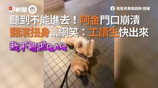 聽到不能進去！阿金門口崩潰　翻滾扭身...網笑：工讀生快出來