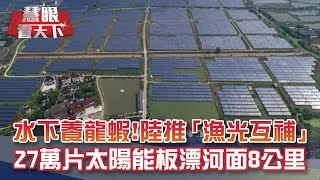 水上太陽能發電 水下養大閘蟹小龍蝦! 陸"漁光互補"27萬片太陽能板漂河面8公里! 年發電1億兩千萬度!｜20201003慧眼看天下第116集-透視兩岸-EP116精華