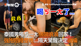 泰國男喝ㄎ一ㄤ綁架浪浪回家！　強抱陪睡整晚...隔天驚醒決定收編