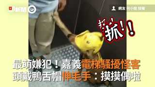 最萌嫌犯！嘉義電梯騷擾怪客 頭戴鴨舌帽伸毛手：摸摸偶啦