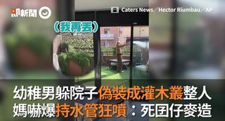 幼稚男躲院子偽裝成灌木叢整人　媽嚇爆持水管狂噴：死囝仔麥造