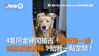 4隻阿金硬闖搶占「廁所第一排」　媽尿尿崩潰喊：給我一點空間！