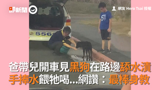 爸帶兒開車見黑狗在路邊舔水漬 手捧水餵牠喝...網讚：最棒身教