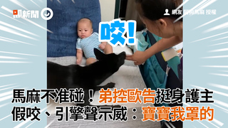 馬麻不准碰！弟控歐告挺身護主　假咬、引擎聲示威：寶寶我罩的