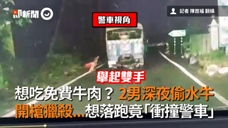 想吃免費牛肉？ 2男深夜偷水牛 開槍獵殺...想落跑竟「衝撞警車」