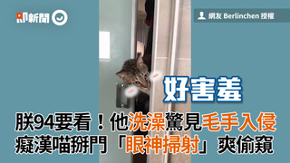 朕94要看！他洗澡驚見毛手入侵 癡漢喵掰門「眼神掃射」爽偷窺
