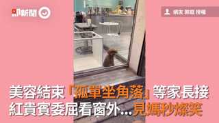 美容結束「孤單坐角落」等家長接　紅貴賓委屈看窗外...見媽秒燦笑