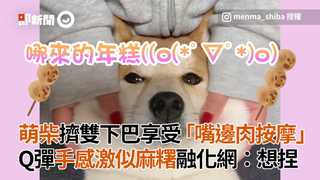 萌柴擠雙下巴享受嘴邊肉按摩　Q彈手感激似麻糬融化網：想捏