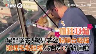早起曬衣！驚見老公躲陽台吸貓　臉埋毛毛肚裡...她愣：在幹嘛啦