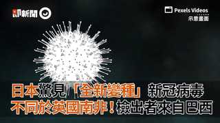 日本驚見「全新變種」新冠病毒　不同於英國南非！檢出者來自巴西