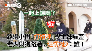 路邊小樹「打招呼」學生妹嚇歪 老人與狗路過...汪愣2秒：誰！
