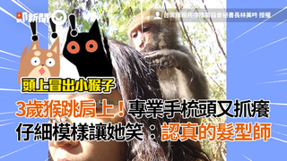 3歲猴跳肩上！專業手梳頭又抓癢 仔細模樣讓她笑：認真的髮型師