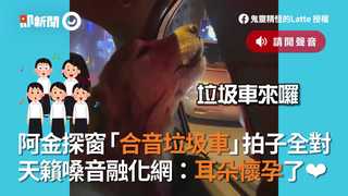 阿金探窗「合音垃圾車」拍子全對　 天籟嗓音融化網：耳朵懷孕了❤