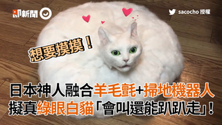 日本神人融合羊毛氈+掃地機器人 擬真綠眼白貓「會叫還能趴趴走」！